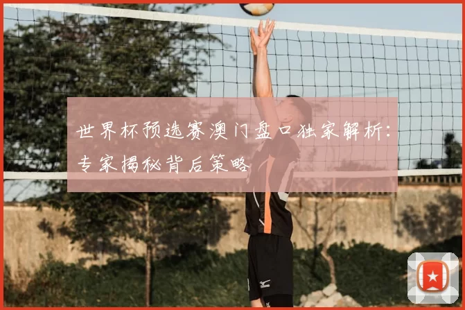 世界杯预选赛澳门盘口独家解析：专家揭秘背后策略