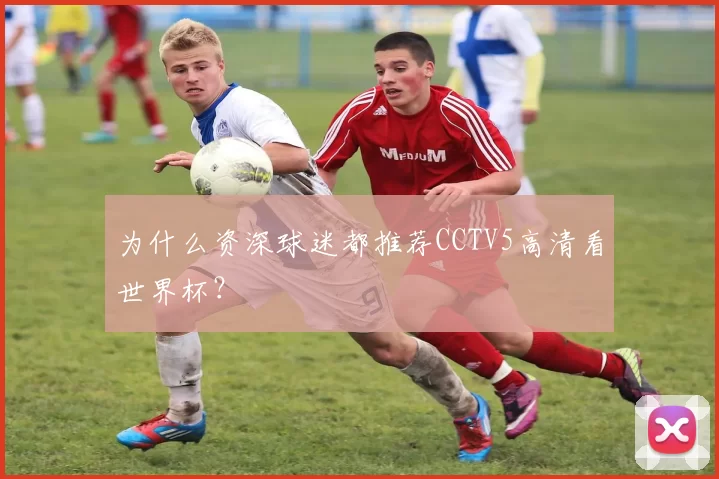 为什么资深球迷都推荐CCTV5高清看世界杯？