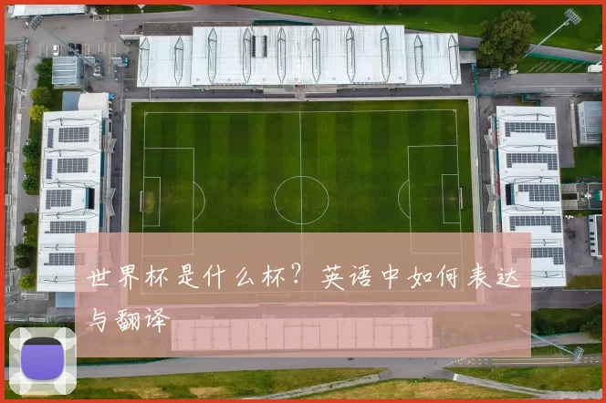 世界杯是什么杯？英语中如何表达与翻译