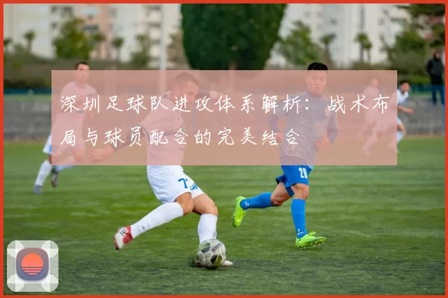 深圳足球队进攻体系解析：战术布局与球员配合的完美结合