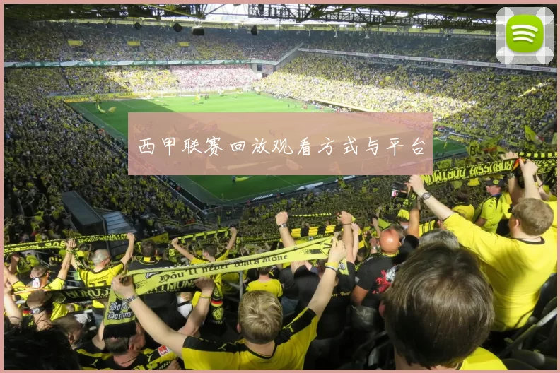 西甲联赛回放观看方式与平台