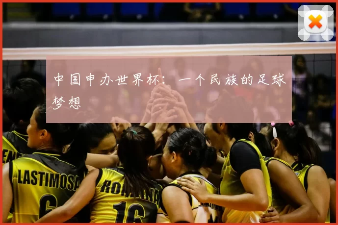 中国申办世界杯：一个民族的足球梦想