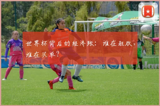 世界杯背后的经济账：谁在狂欢，谁在买单？