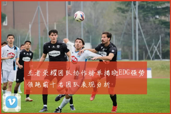 王者荣耀团队协作榜单揭晓EDG强势领跑前十名团队表现分析
