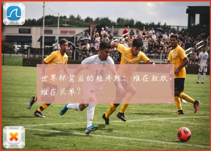 世界杯背后的经济账：谁在狂欢，谁在买单？