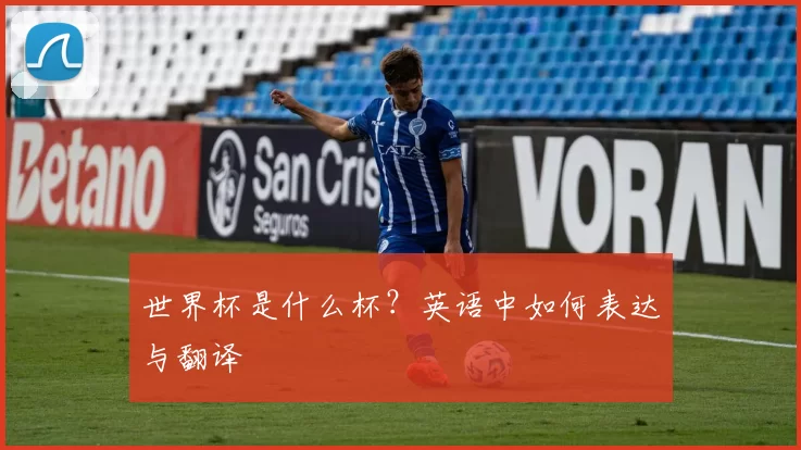 世界杯是什么杯?英语中如何表达与翻译