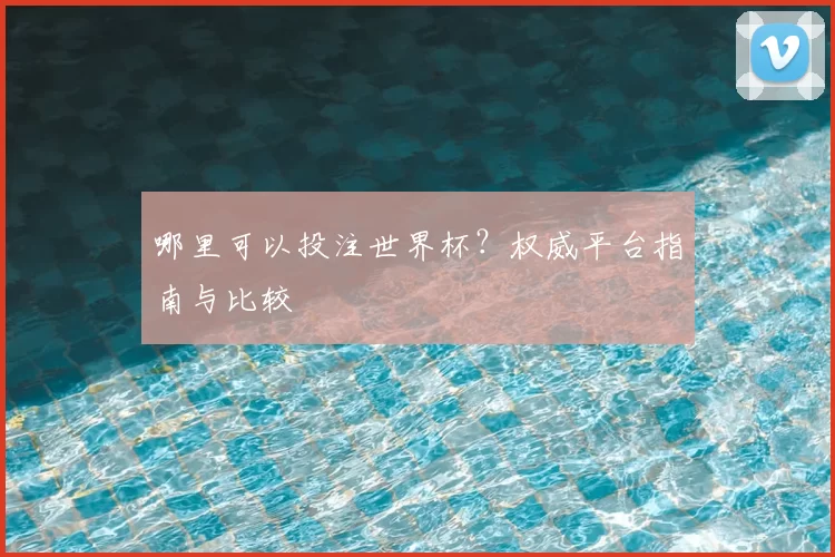哪里可以投注世界杯？权威平台指南与比较
