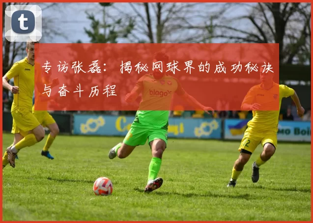 专访张磊：揭秘网球界的成功秘诀与奋斗历程