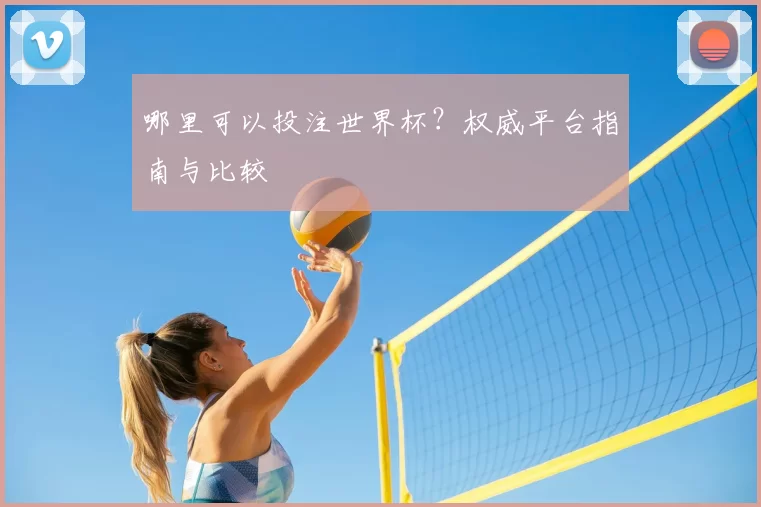 哪里可以投注世界杯？权威平台指南与比较