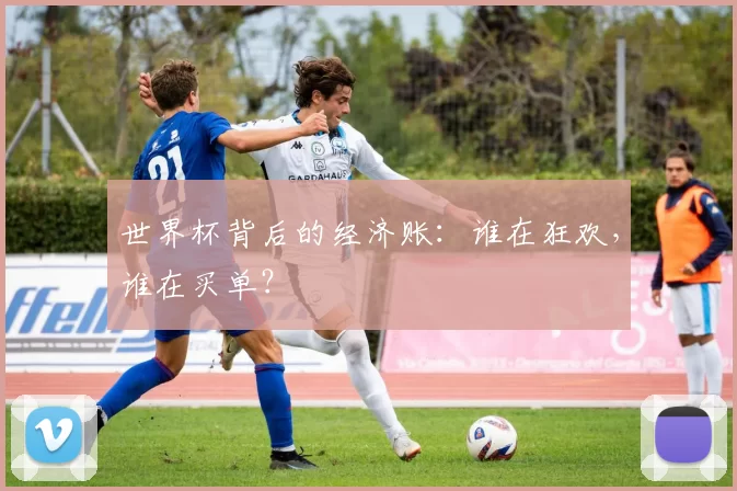 世界杯背后的经济账：谁在狂欢，谁在买单？