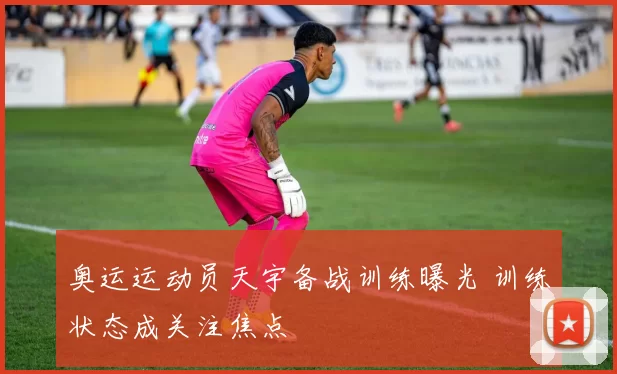 奥运运动员天宇备战训练曝光 训练状态成关注焦点
