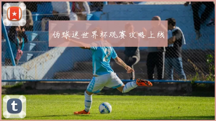 伪球迷世界杯观赛攻略上线
